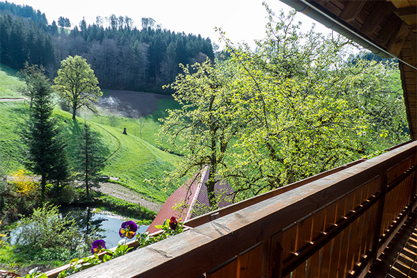 Ferienwohnung 1