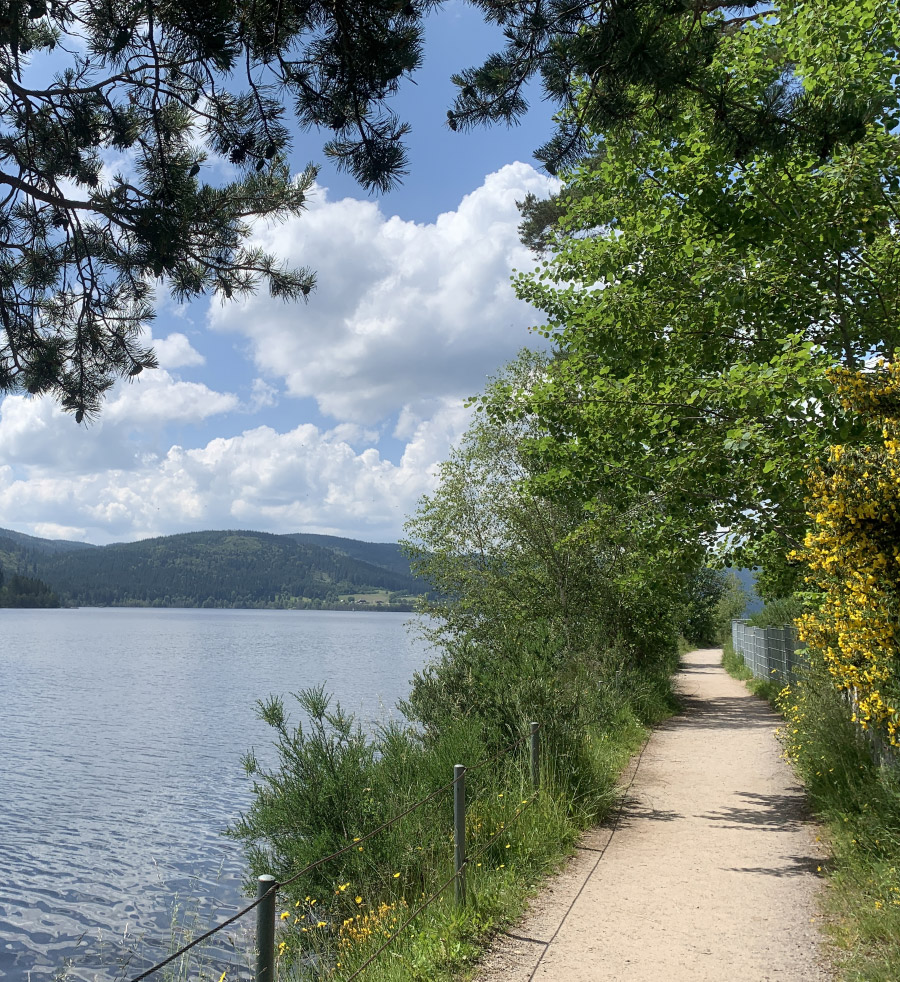 Schluchsee